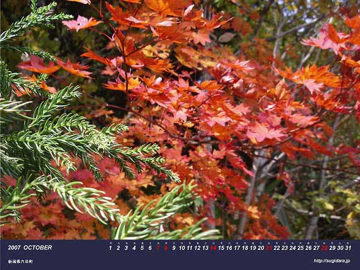 10������1