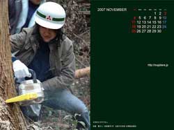 11������3