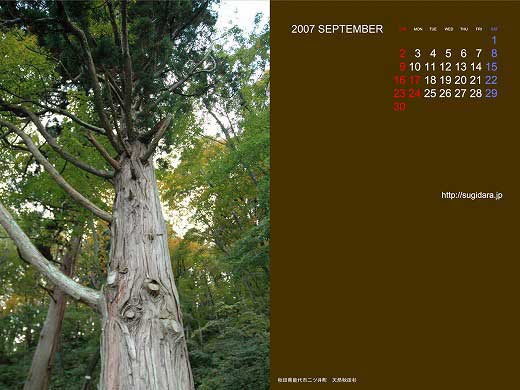 9������1