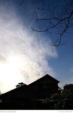 �ѓc�ʐ^�@��