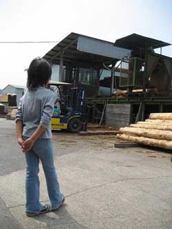 ���̊ۑ�,��ނ�