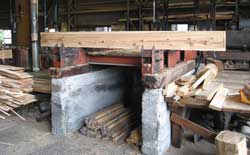 ���ꂢ�ȗ���