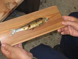 ���̒Y�Ώ�