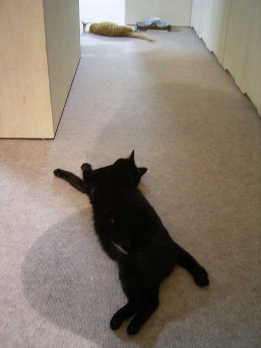 �s���|��L