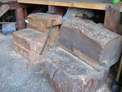 ���ގԕt�уm�R��