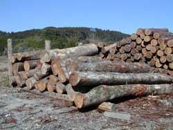 �~�Y���T�N��