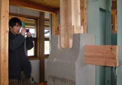 �j�f�����󋵂�����