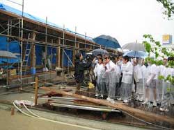 �ǂ���~��̒��̒��w��