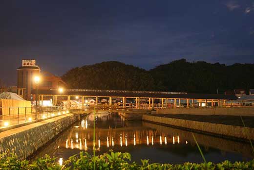 ��̖�����