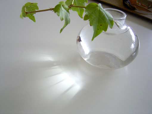 �e�[�u���̗t����