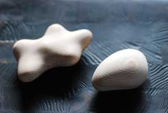 �X�M�R�_�}