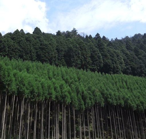 �k�R����