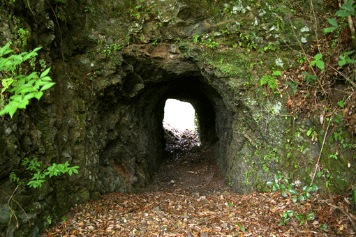 �g���l��